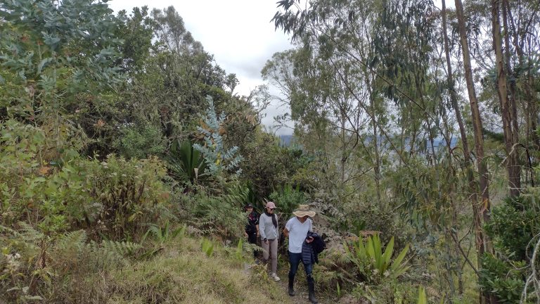 IMG_20230402_101951883_HDR