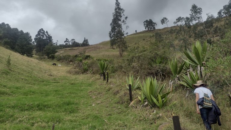 IMG_20230402_093820759_HDR