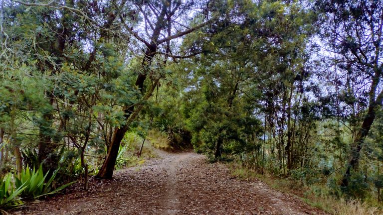 IMG_20230402_102250786_HDR