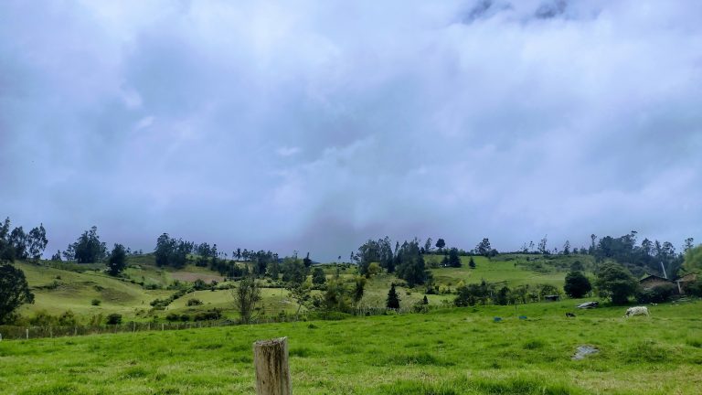 IMG_20230402_113433464_HDR