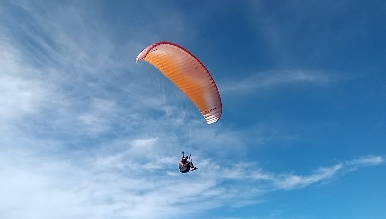 IMG_20230826_161134_5