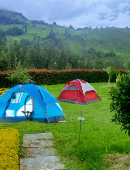 Zona De Camping