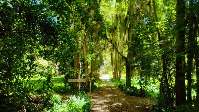 Sendero Ancestral