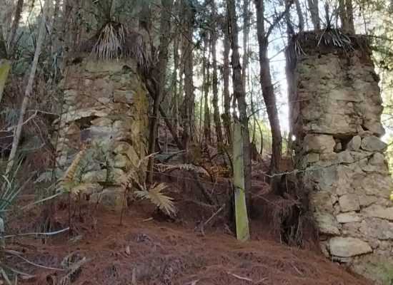 Entre Bosques Y Miradores (10)