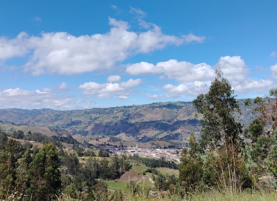 Entre Bosques Y Miradores (16)