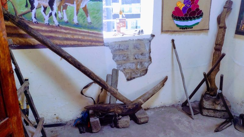 Biomuseo de la Papa Nativa - Image 2