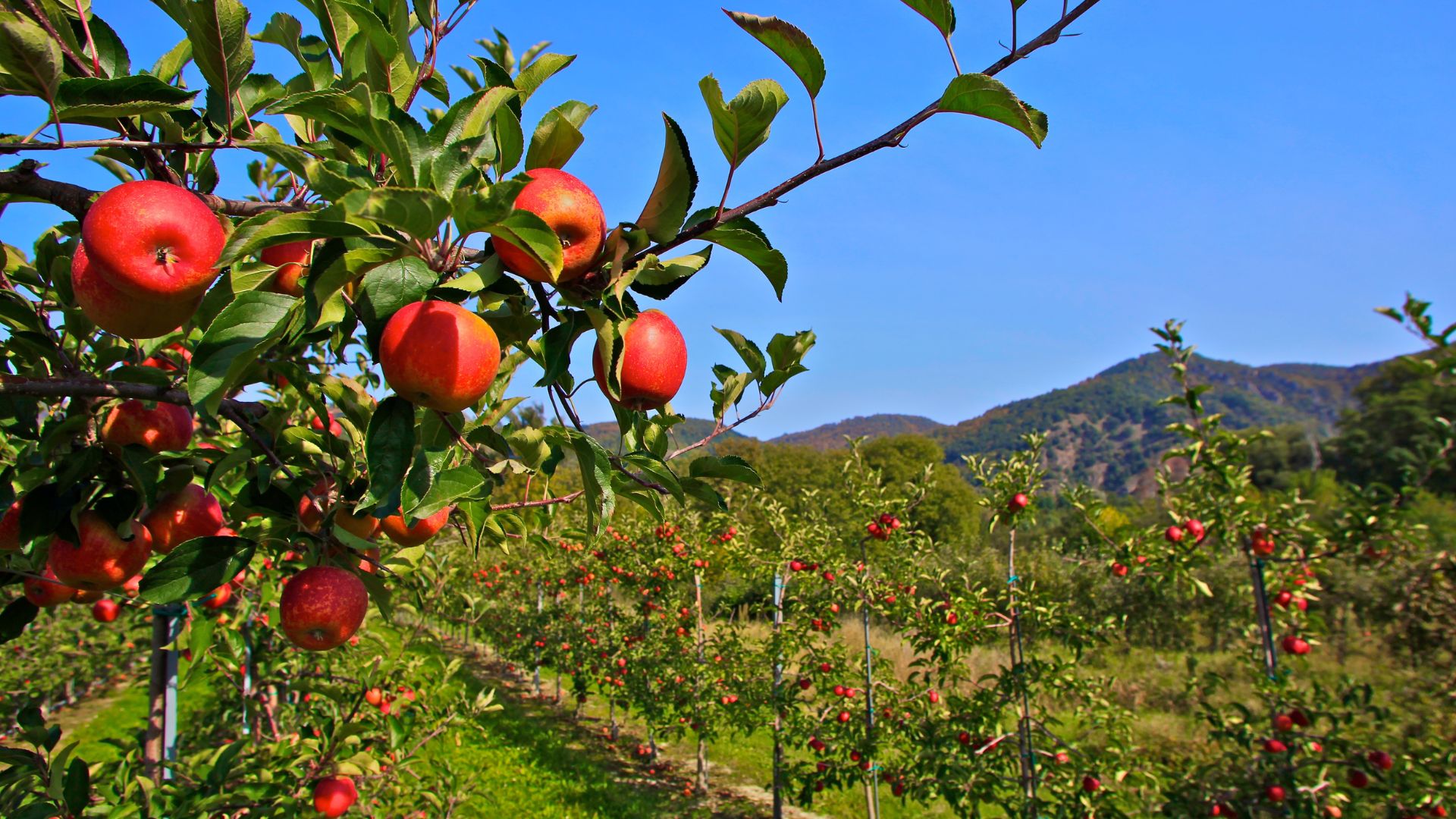 La Ruta Del Paraíso