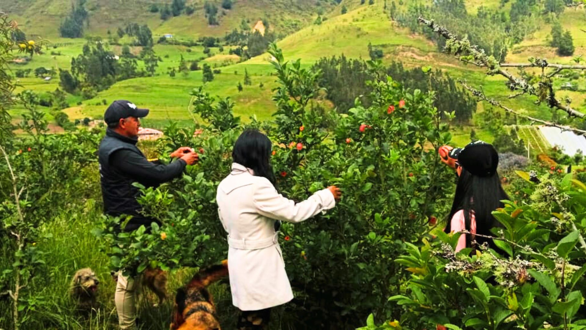 La Ruta Del Paraíso - Image 4