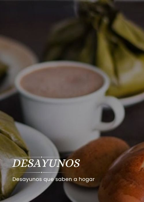 Rte Laguna Verde (6)