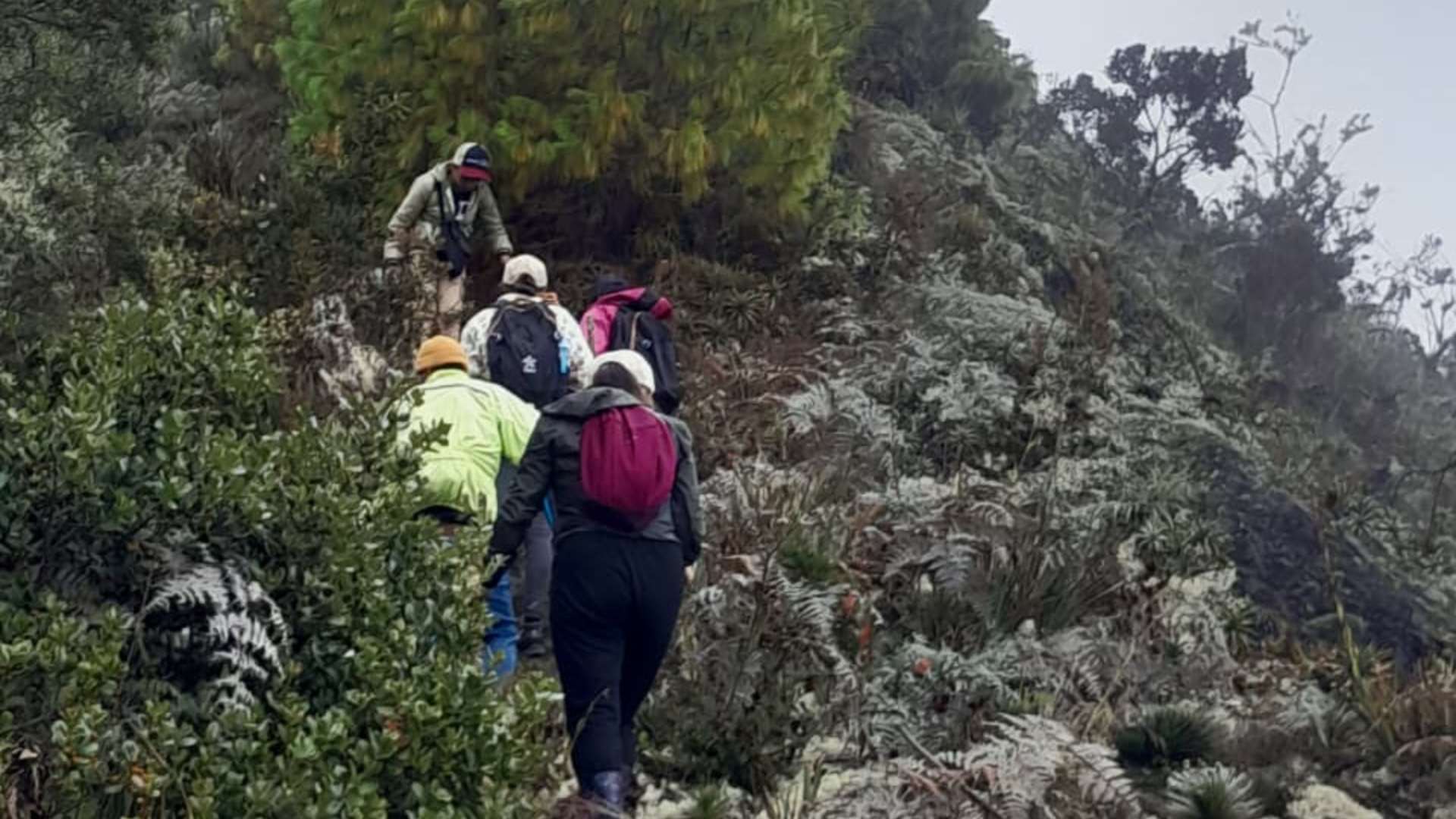 Guíanza (1)