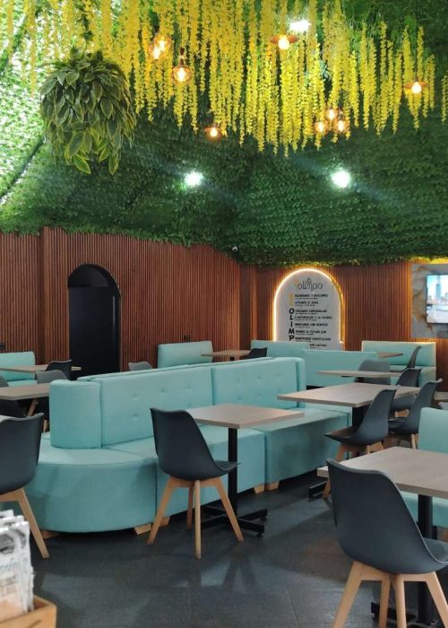 El olimpo sector oasis (3)