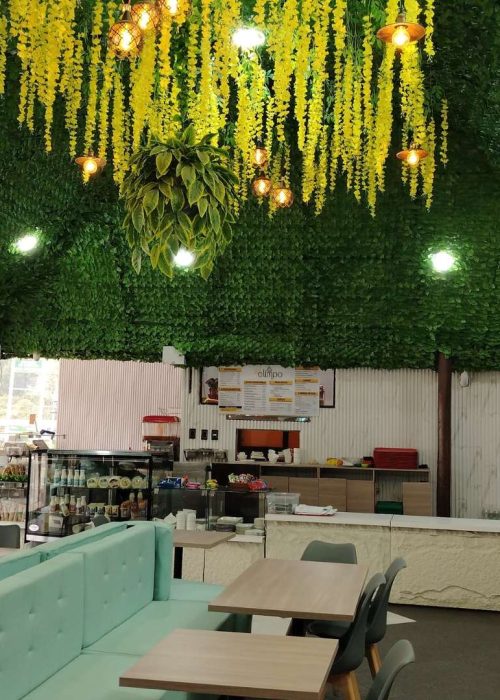 El olimpo sector oasis (8)