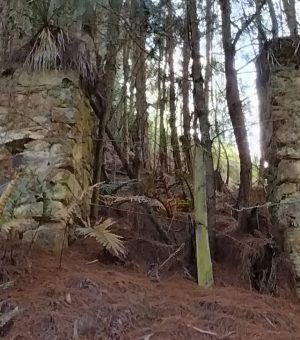 Entre Bosques Y Miradores (10)