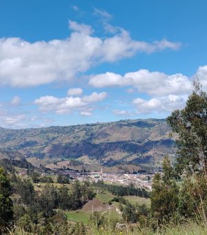 Entre Bosques Y Miradores (16)