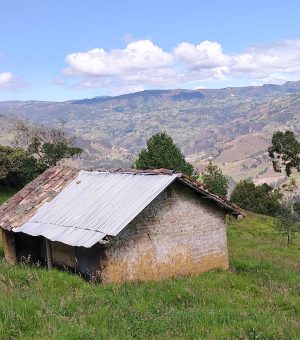 Entre Bosques Y Miradores (20)