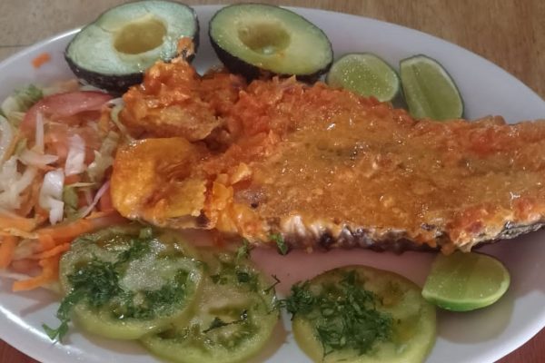 Galeria Rancho Grande (3)