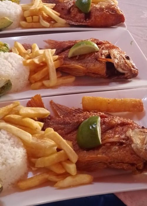 Galeria Rancho Grande (6)