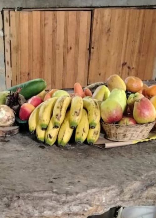 Galeria la cabaña (1)