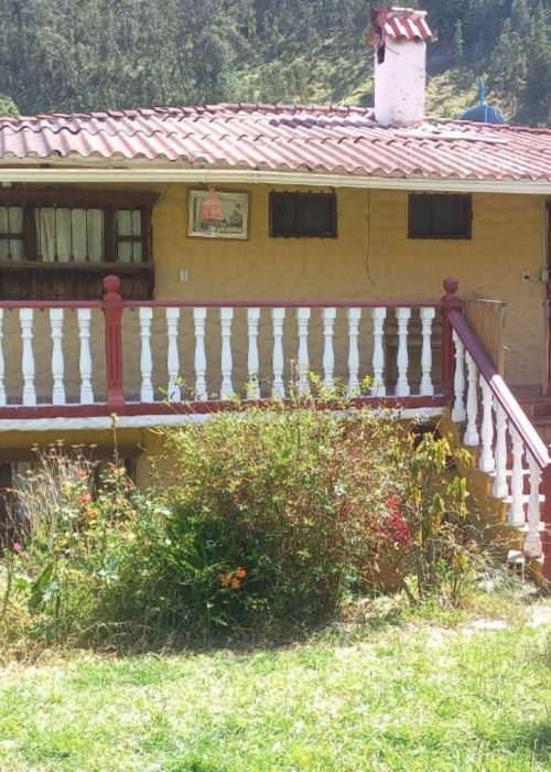 Galeria la cabaña (4)