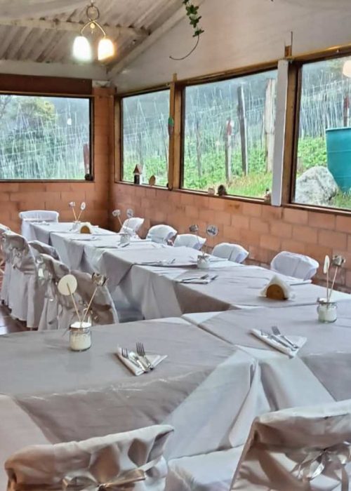 Galeria la cabaña (5)