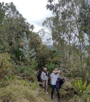 IMG_20230402_101951883_HDR