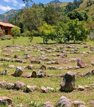 Conecta tus sentidos con la madre tierra en este escenario natural