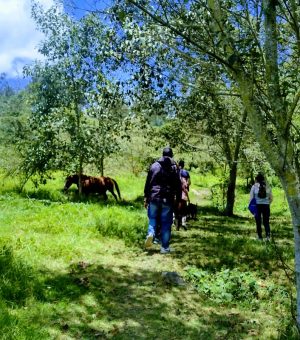 WhatsApp Image 2024-10-13 at 8.05.32 AM (17)