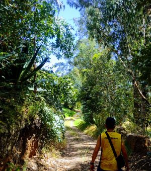 WhatsApp Image 2024-10-13 at 8.05.32 AM (2)