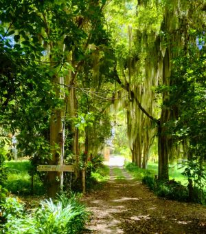 WhatsApp Image 2024-10-13 at 8.05.32 AM (5)