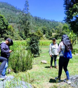 WhatsApp Image 2024-10-13 at 8.05.32 AM (7)