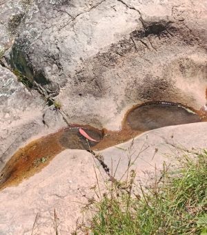 WhatsApp Image 2024-10-13 at 8.07.46 AM (4)