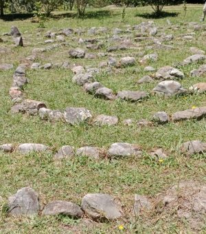 WhatsApp Image 2024-10-13 at 8.07.46 AM