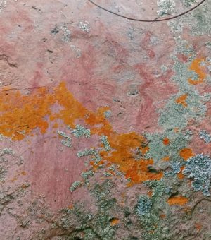 WhatsApp Image 2024-10-13 at 8.07.47 AM (2)