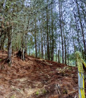 WhatsApp Image 2024-10-14 at 6.13.01 PM (12)