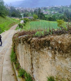 WhatsApp Image 2024-10-14 at 6.13.01 PM (2)