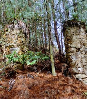 WhatsApp Image 2024-10-14 at 6.13.01 PM (9)